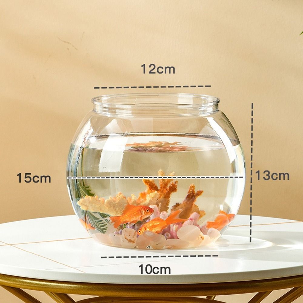 Aquarium Fish Names - Décoration d'intérieur, aquarium rond transparent en
