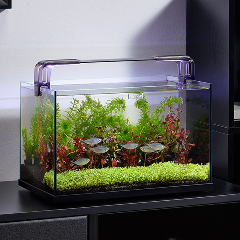 Aquarium Xxl - sttl Cherlam Factory Wholesale 20 Gallon