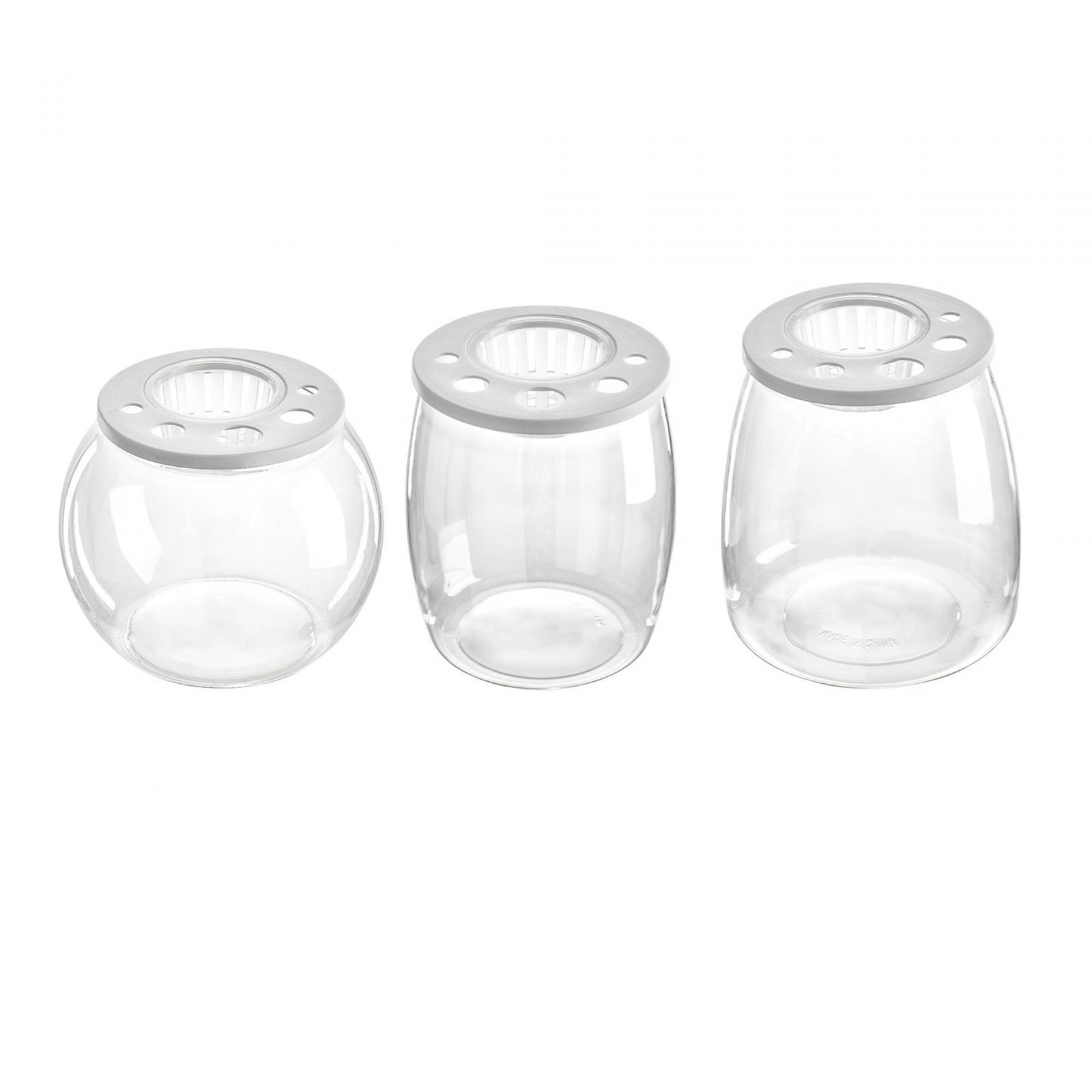 Aquarium Fish Drawing - Aquarium de bureau transparent polyvalent, micro-paysage