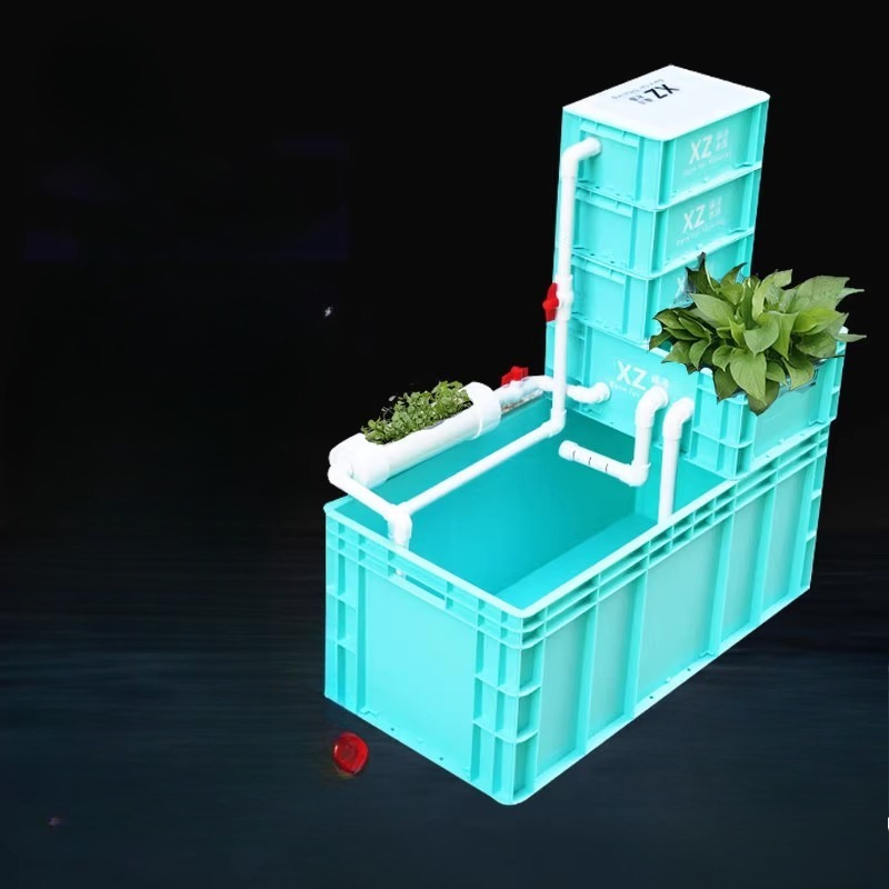 Aquarium Fish Low Maintenance - Réservoir pour tortues avec filtre intégré,