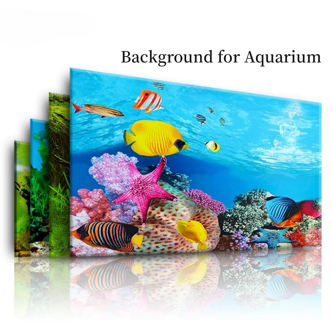 Aquarium Fish Cichlid - Autocollant 3D de Fond d'Aquarium, Affiche
