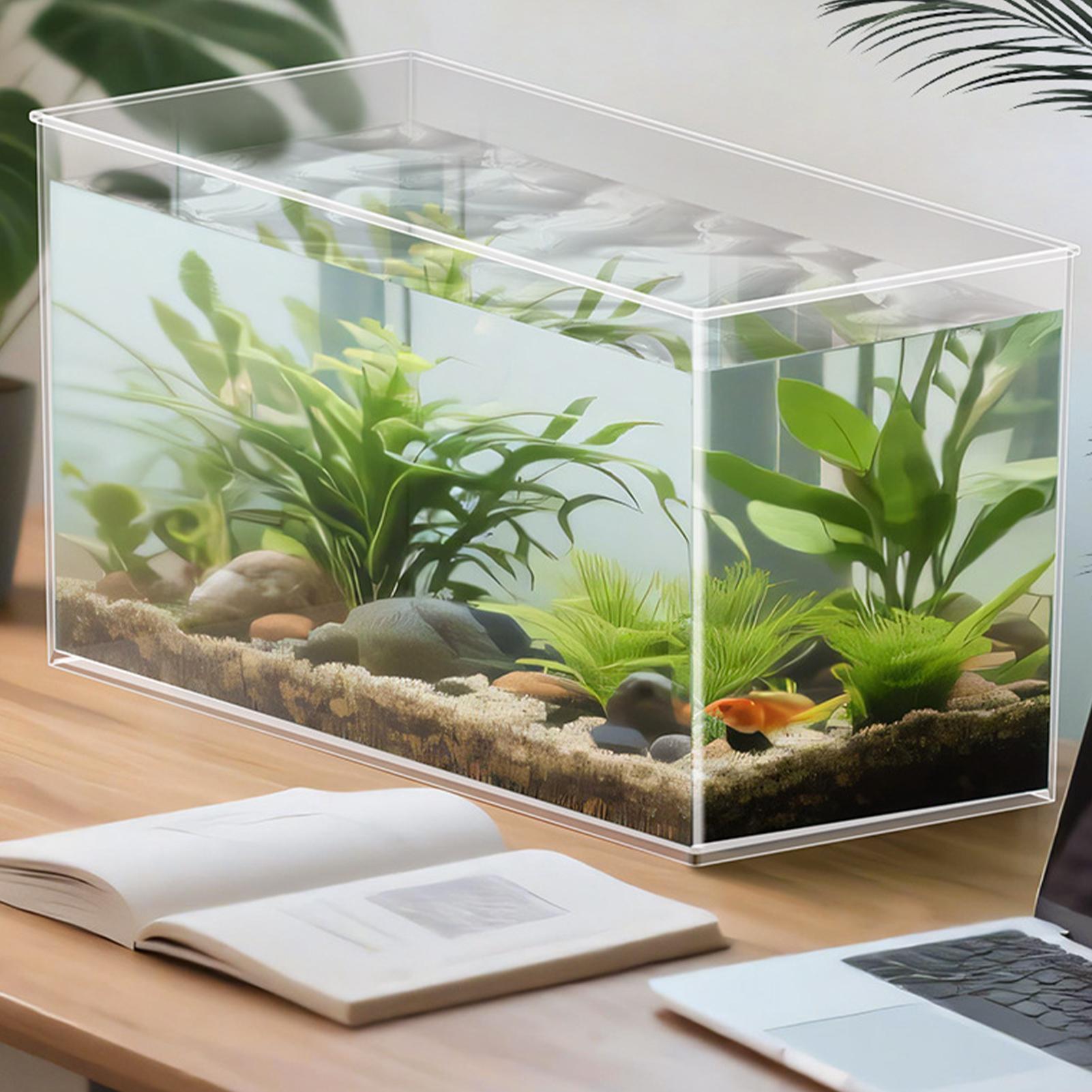 Aquarium Xxl - Mini aquarium pour betta en verre