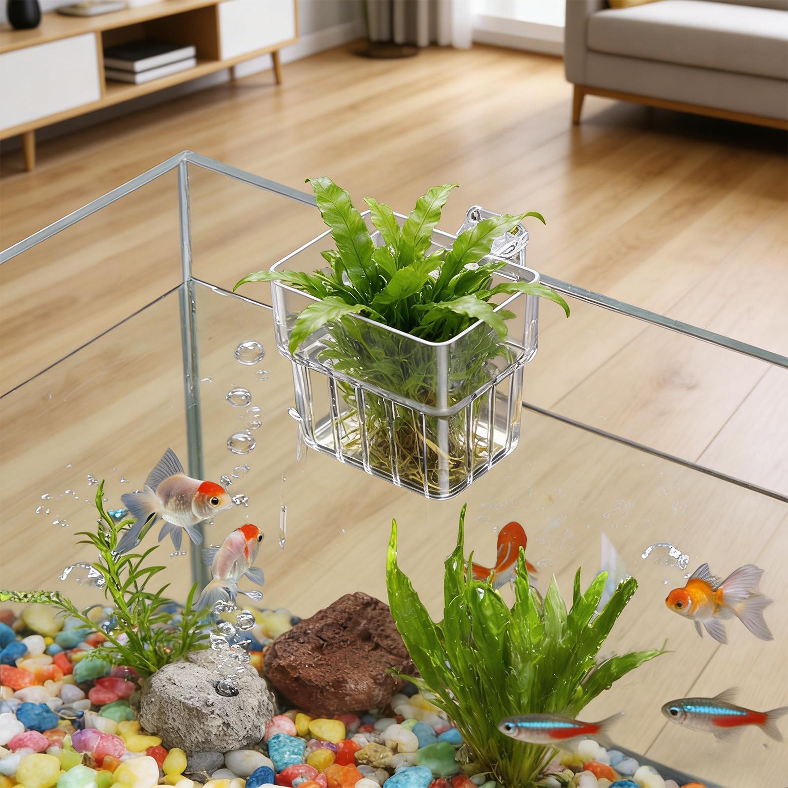 Aquarium Fish Names - Pot de culture suspendu transparent pour