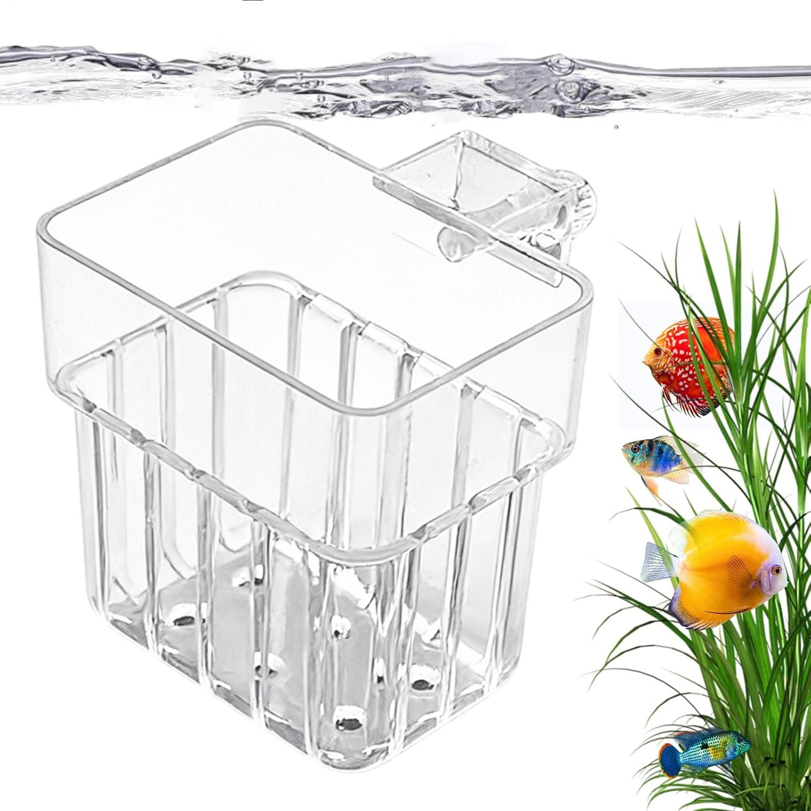 Pot transparent suspendu pour  - Aquarium Fish Names avis et prix