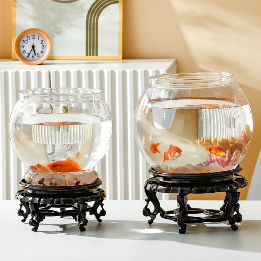 Décoration d'intérieur, aquari - Aquarium Fish Names avis et prix