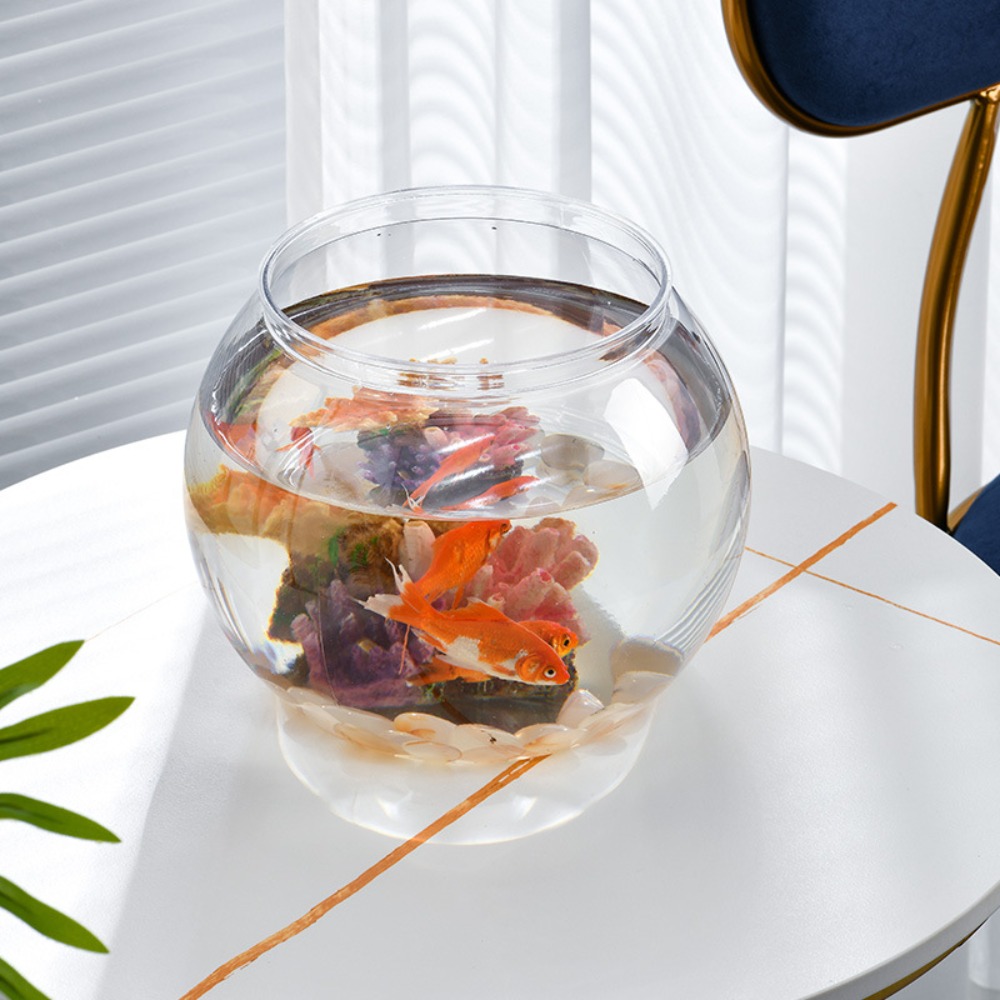 Décoration d'intérieur, aquari - Aquarium Fish Names avis et prix