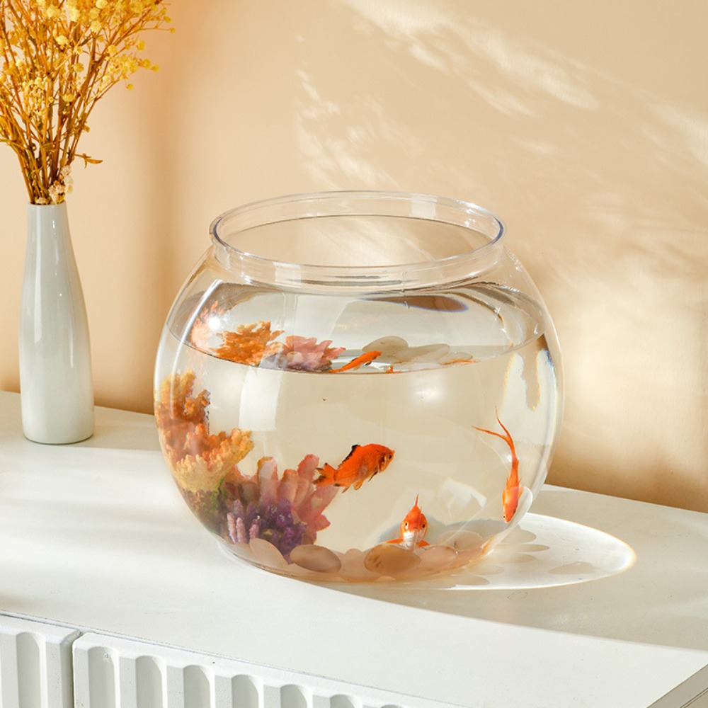 Décoration d'intérieur, aquari - Aquarium Fish Names avis et prix