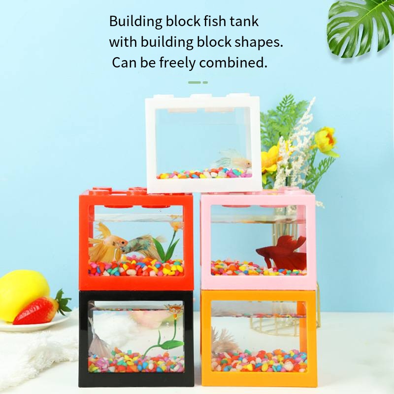 Nouveauté : Mini aquarium en f - Aquarium Fish Names avis et prix