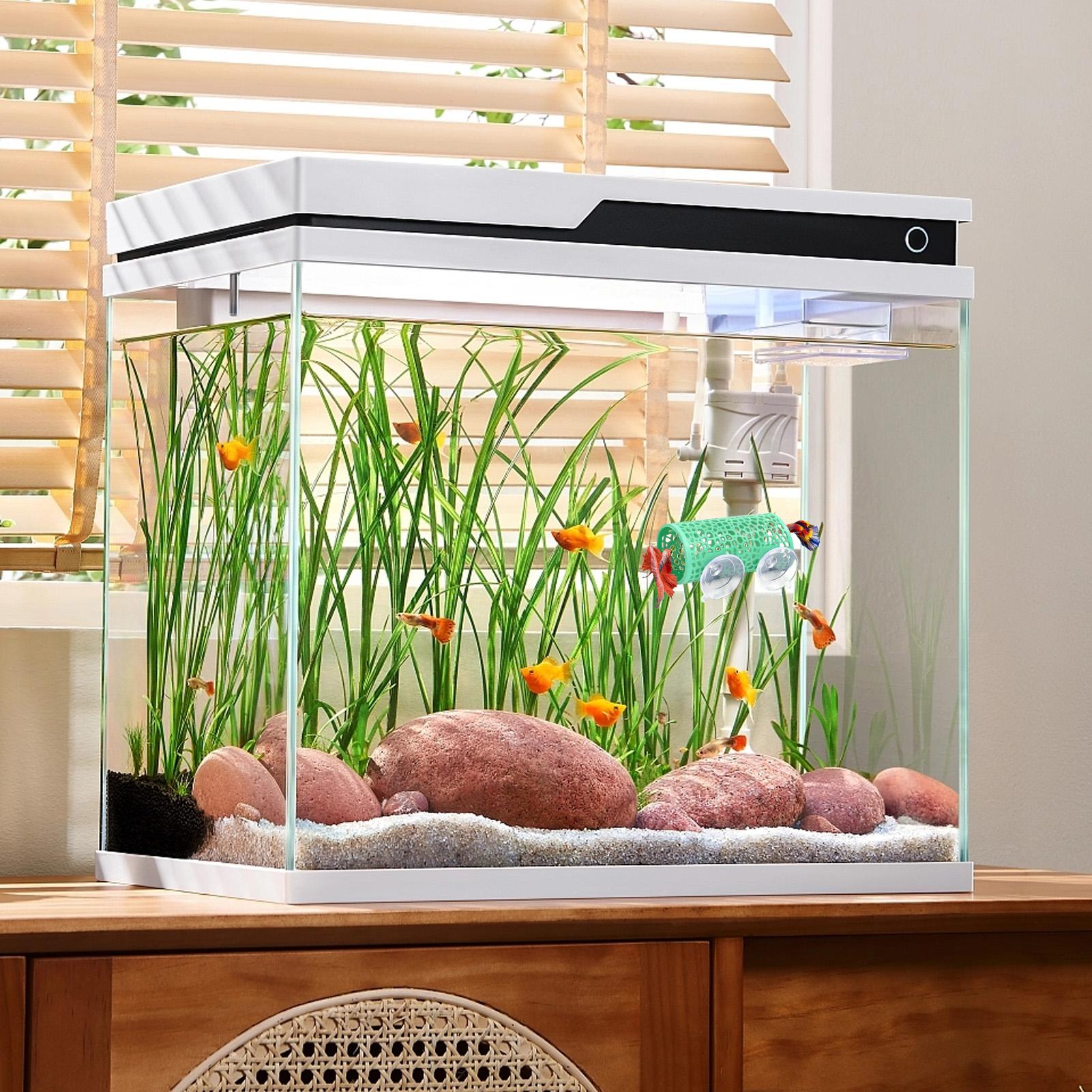 Habitat pour betta, abri de re - Aquarium Mini Fish avis et prix