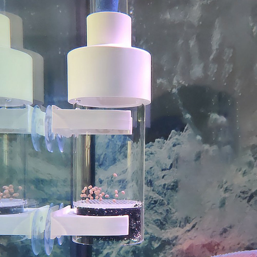 Incubateur de gobelet de 40mm, - Aquarium Fish Cichlid avis et prix