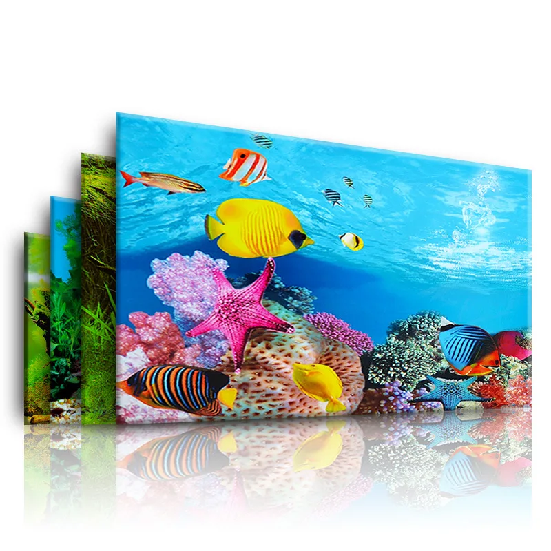 Fond pour Aquarium 3d autocoll - Aquarium Fish Cichlid avis et prix
