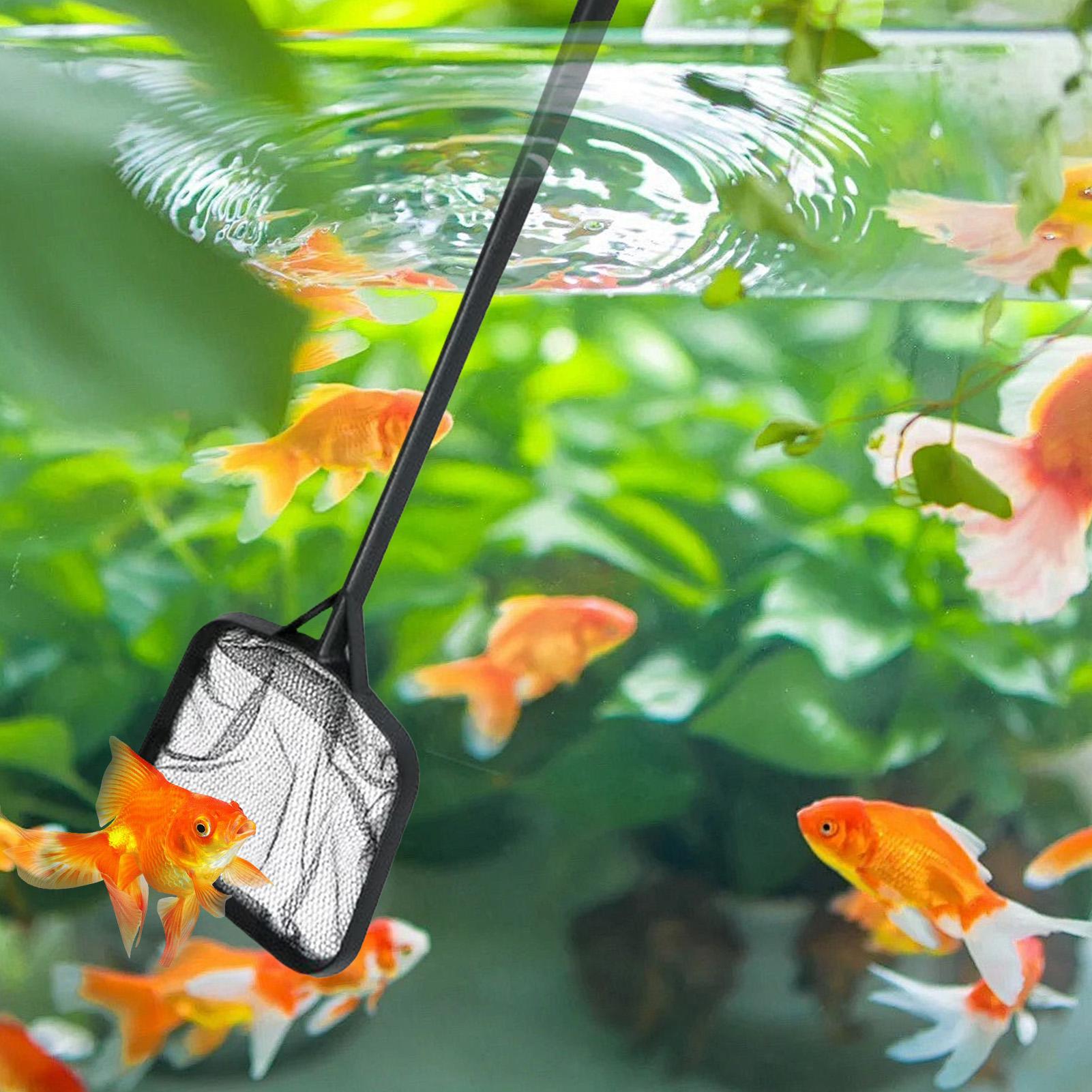 Filets de nettoyage pour pisci - Aquarium Fish House avis et prix