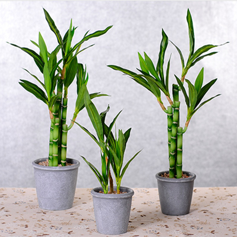 Nouvelle plante artificielle B - Aquarium Fish Types avis et prix