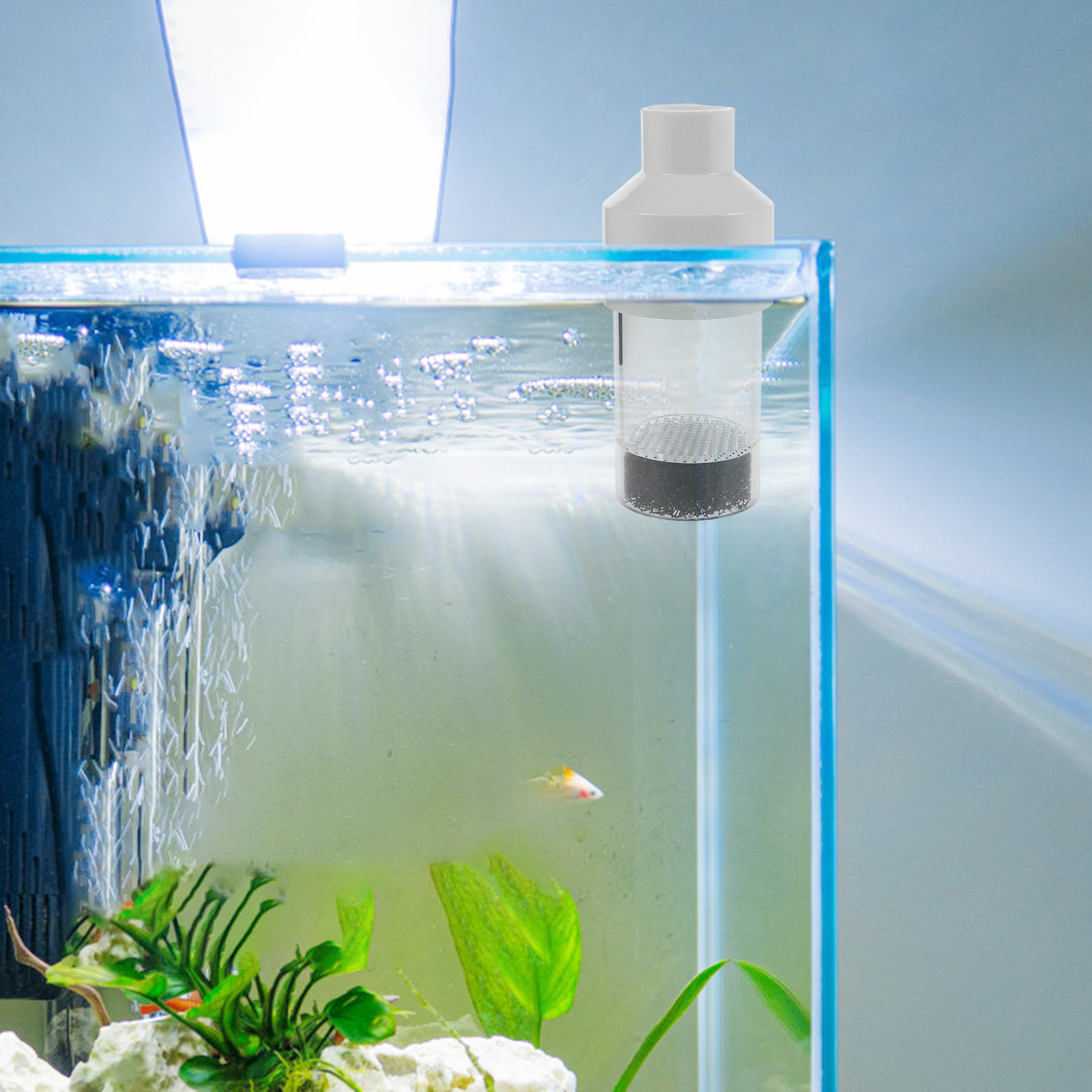 Incubateur d'écloserie pour po - Aquarium Fish Cichlid avis et prix