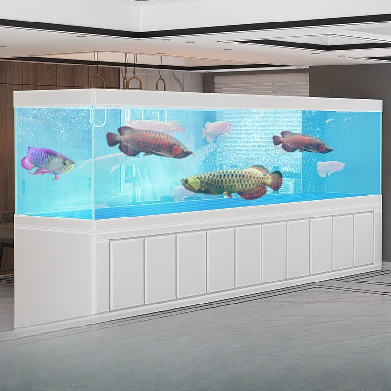 Grand aquarium Jinlong pour sa - Aquarium Xxl avis et prix
