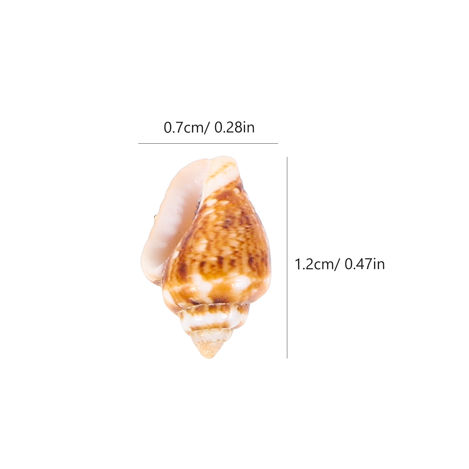 1 boîte de mini coquillages na - Aquarium Mini Fish avis et prix