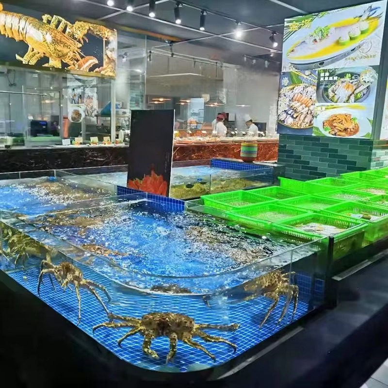 Aquarium carré en verre pour p - Aquarium Xxl avis et prix