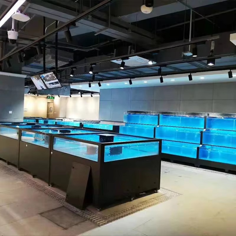 Aquarium carré en verre pour p - Aquarium Xxl avis et prix