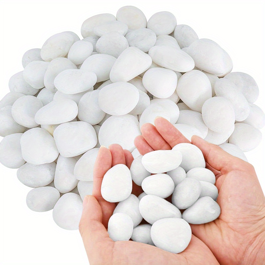 Cerfsets naturels blancs haute - Aquarium Fish Types avis et prix