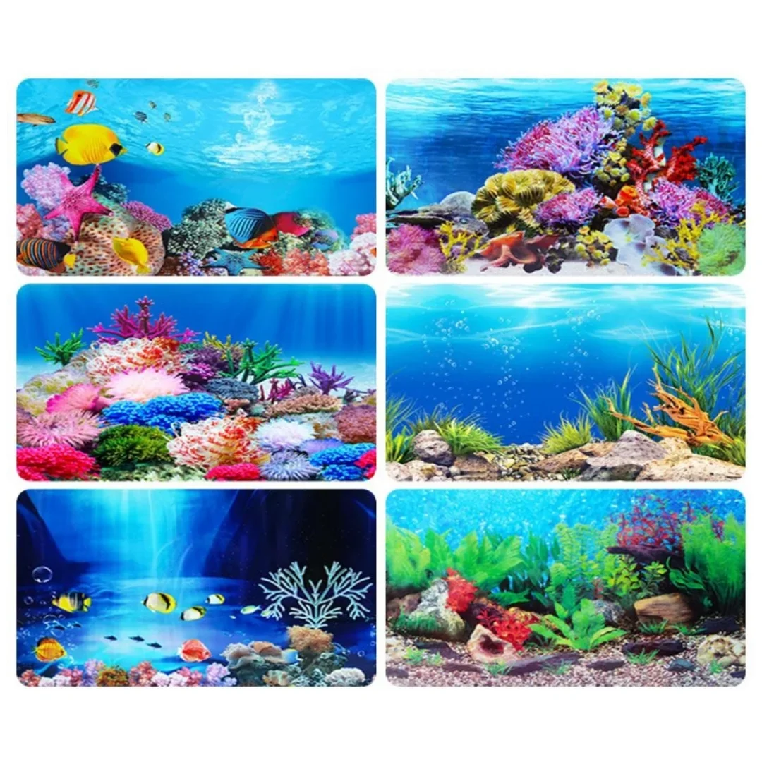 Autocollant 3D de Fond d'Aquar - Aquarium Fish Cichlid avis et prix
