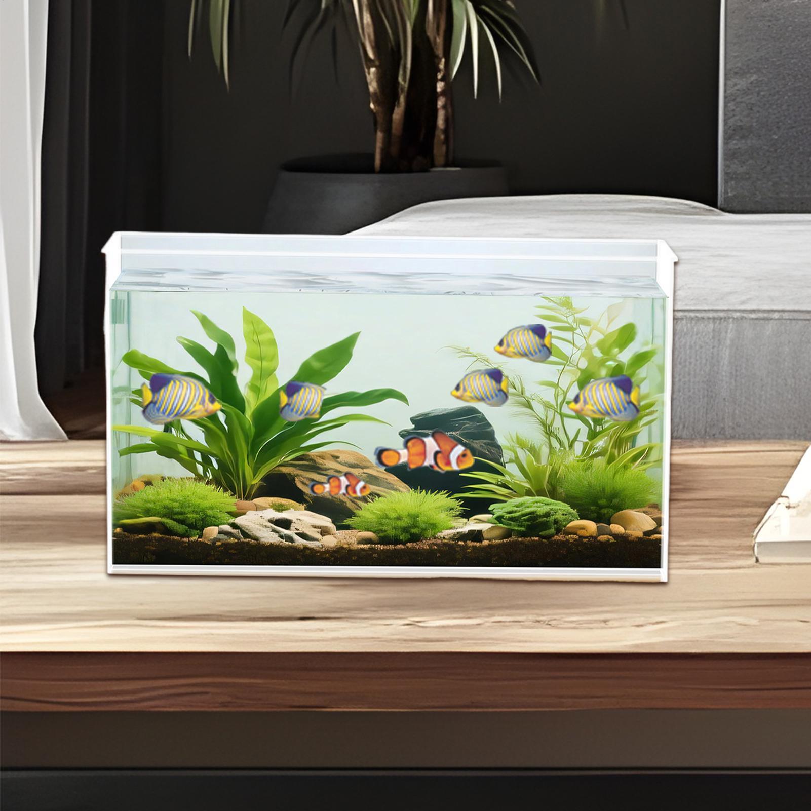 Mini aquarium pour betta en ve - Aquarium Xxl avis et prix