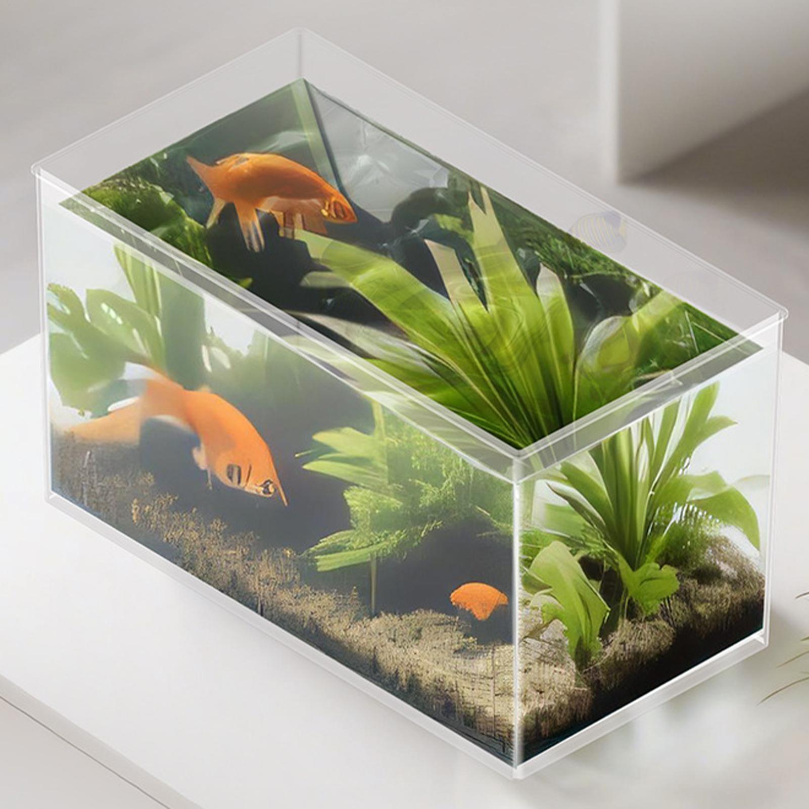 Mini aquarium pour betta en ve - Aquarium Xxl avis et prix
