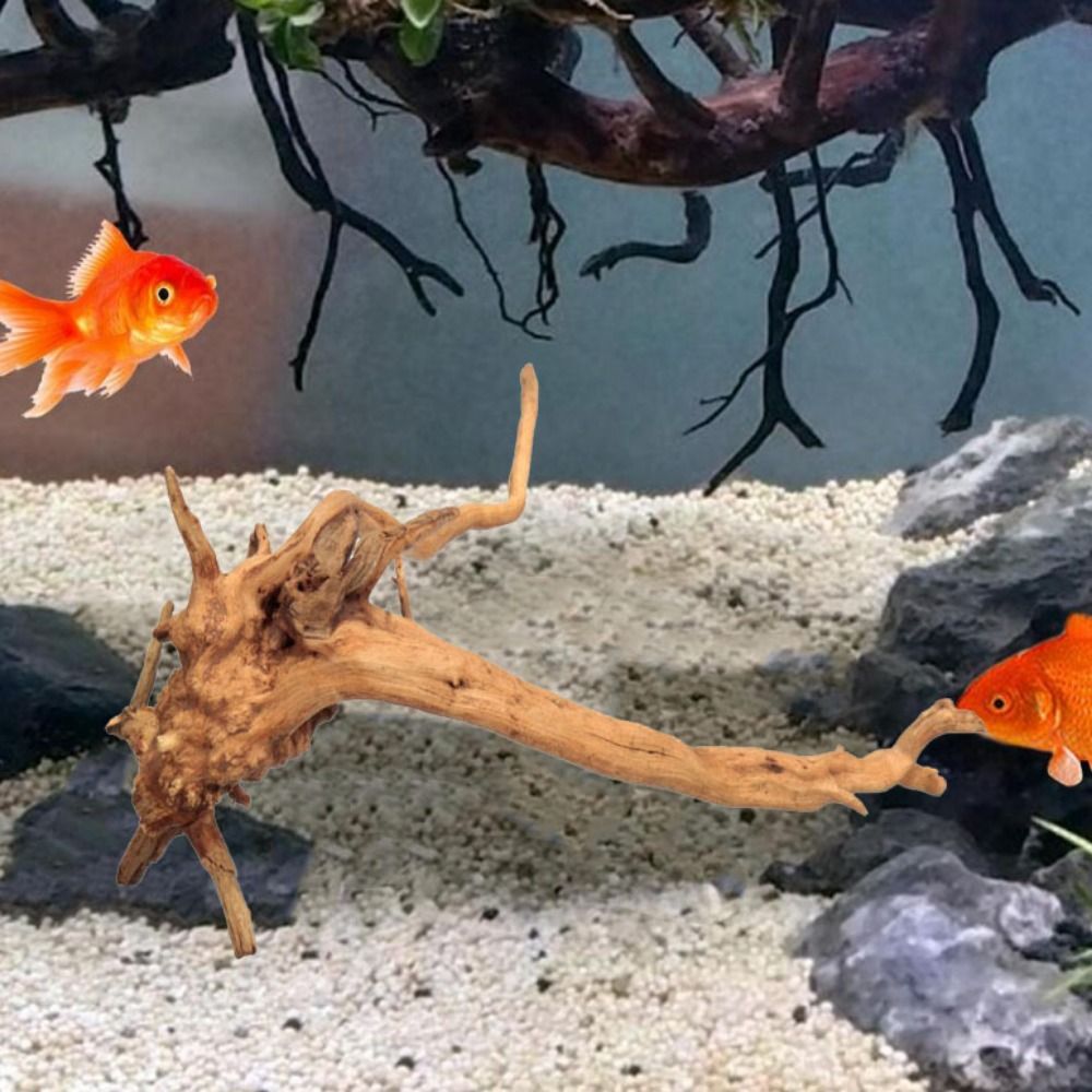 Bois flotté naturel de 20-25 c - Aquarium Xxl avis et prix