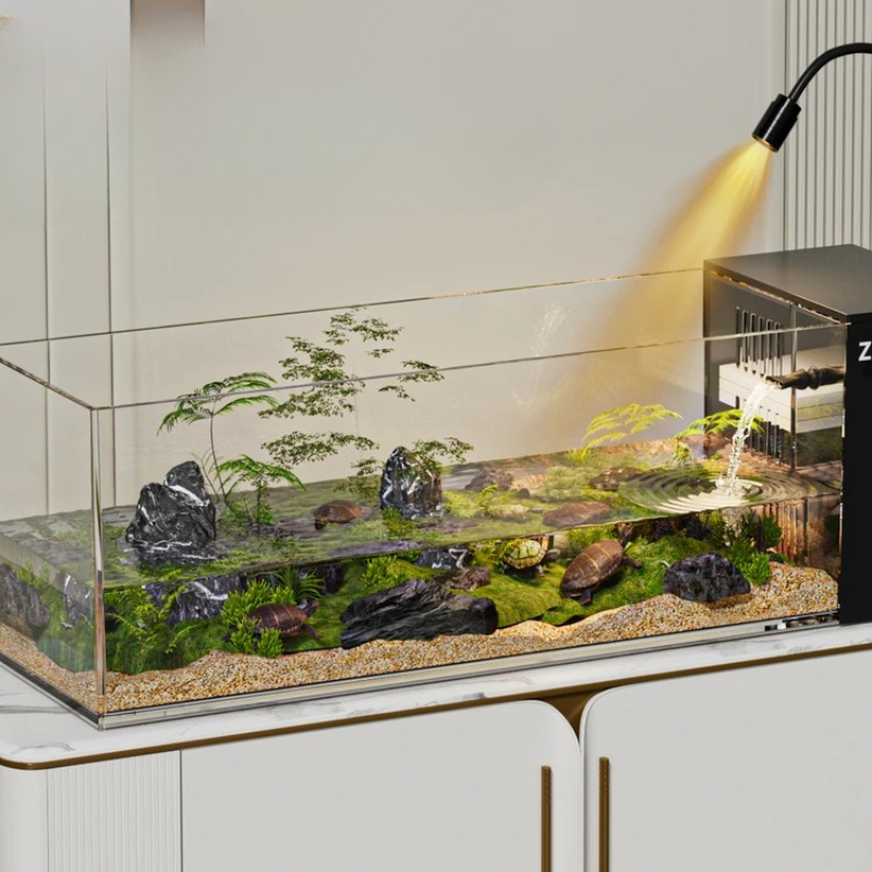 ‌ Réservoir d'aquarium tortue  - Aquarium Xxl avis et prix