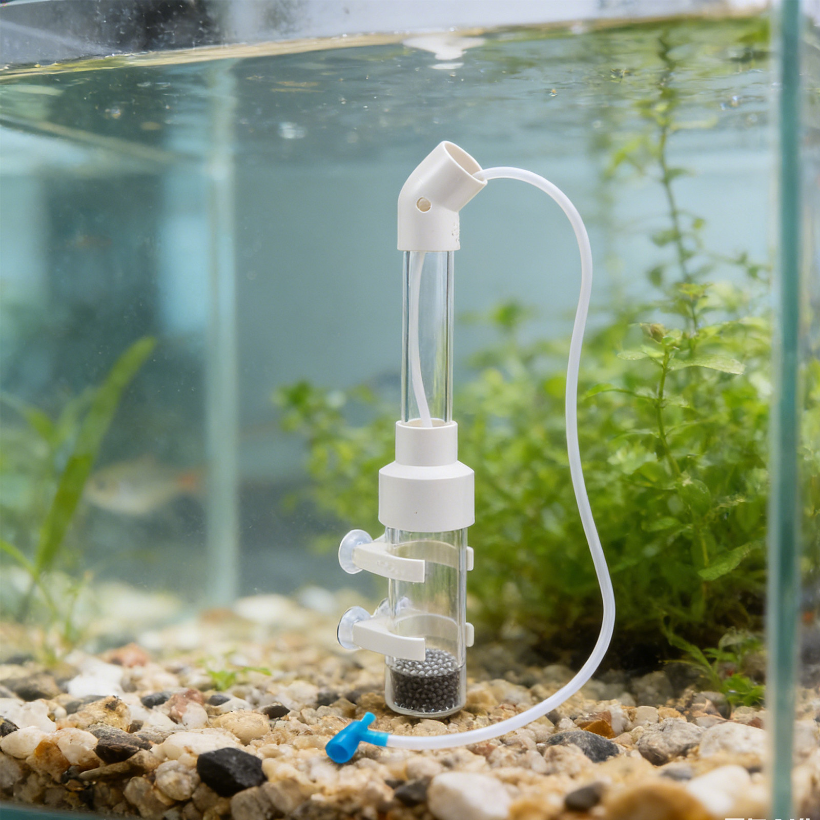 2 Kits d'Incubateur d'Œufs de  - Aquarium Fish Cichlid avis et prix