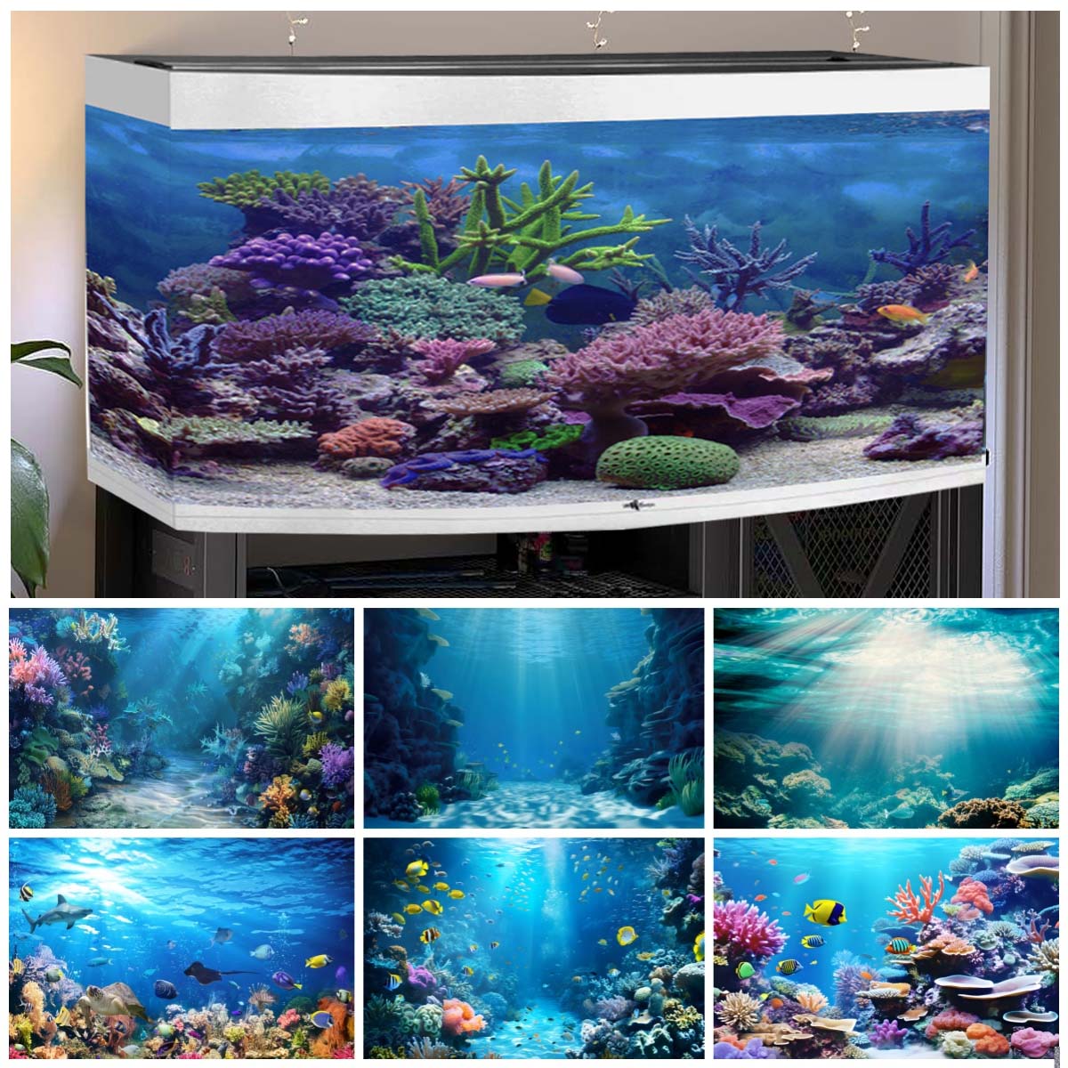 Arrière-plan du monde sous-mar - Aquarium Fish World avis et prix