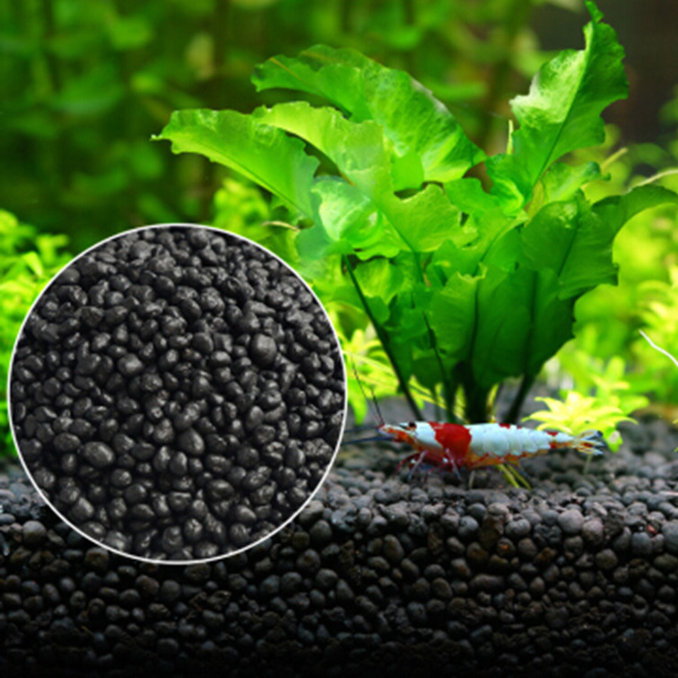 Sol de graines de plantes d'aq - Aquarium Fish Types avis et prix