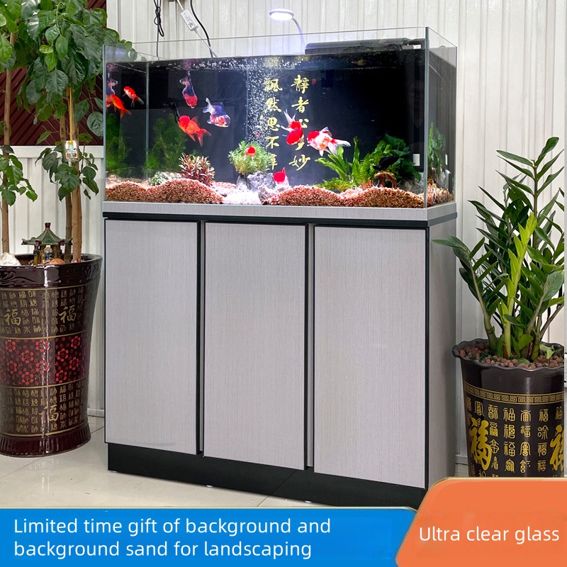 Nouvel aquarium planté en verr - Aquarium Fish Low Maintenance avis et prix