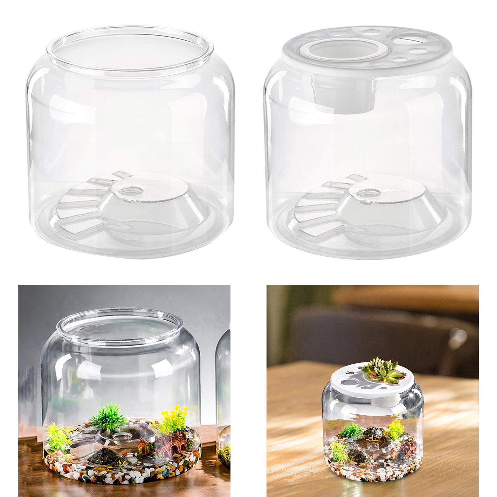Tableau Terrarium pour Reptile - Aquarium Fish Drawing avis et prix