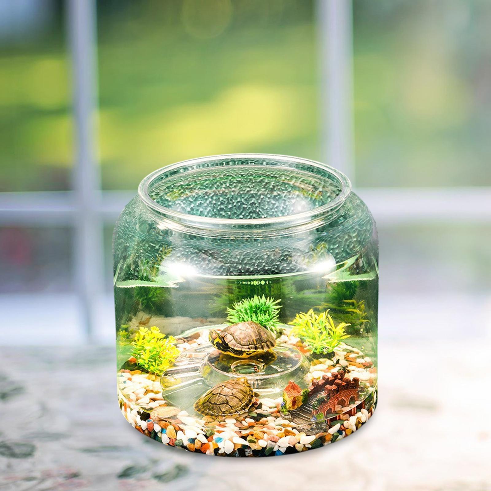 Tableau Terrarium pour Reptile - Aquarium Fish Drawing avis et prix