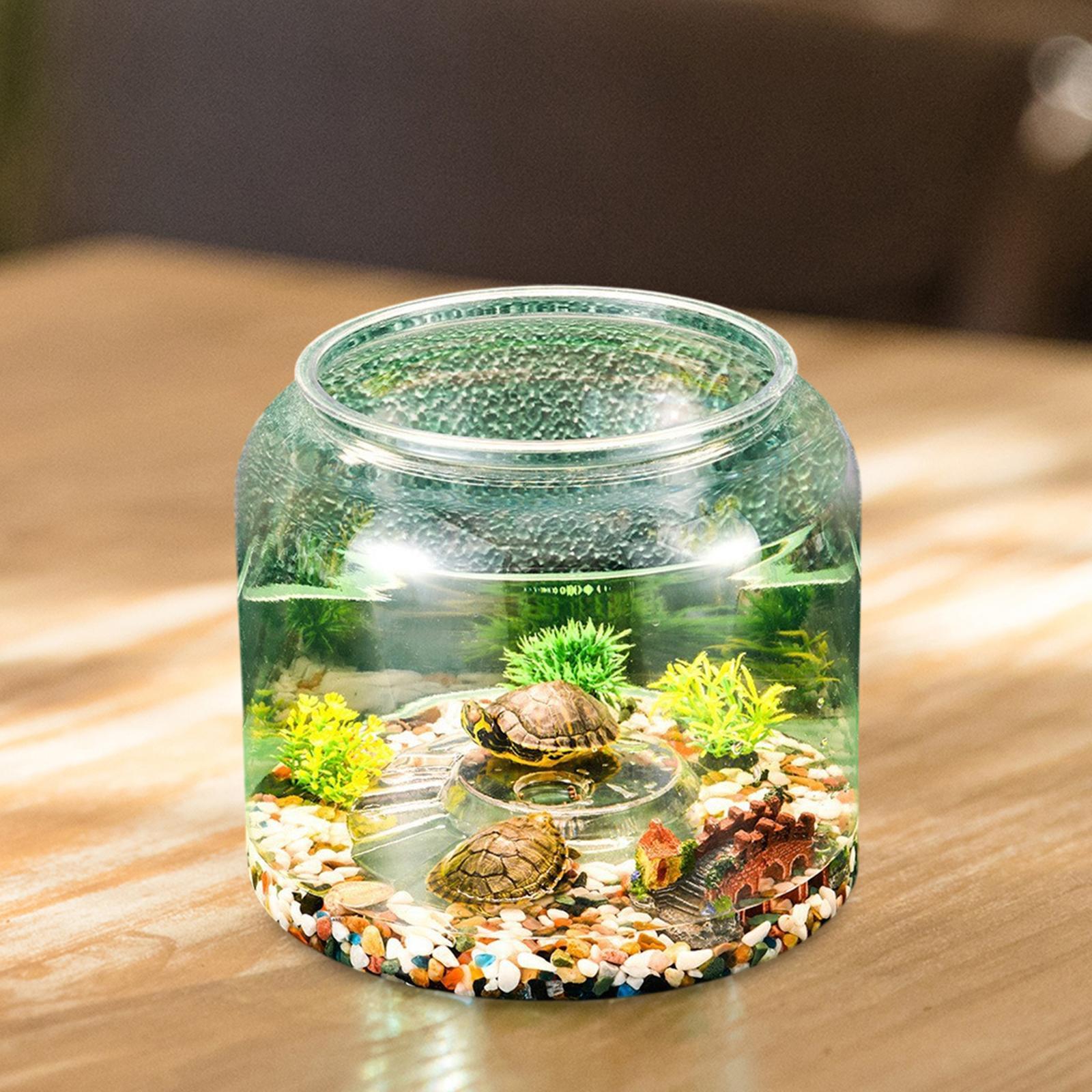 Tableau Terrarium pour Reptile - Aquarium Fish Drawing avis et prix