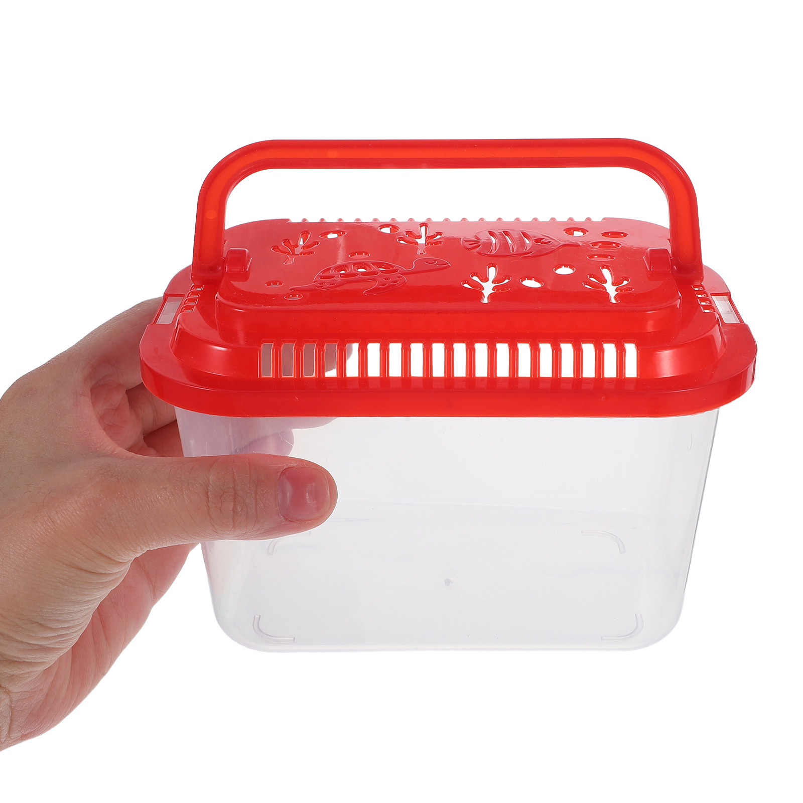 Conteneur de transport de pois - Aquarium Mini Fish avis et prix