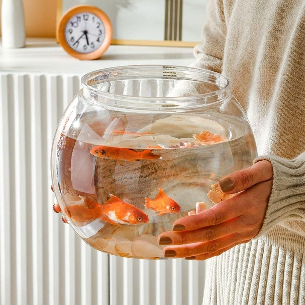 Nouveau Aquarium Transparent r - Aquarium Fish Names avis et prix