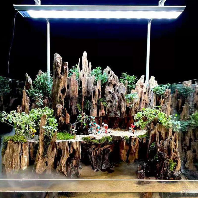 △   Décoration d'aquarium en b - Aquarium Fish Cichlid avis et prix