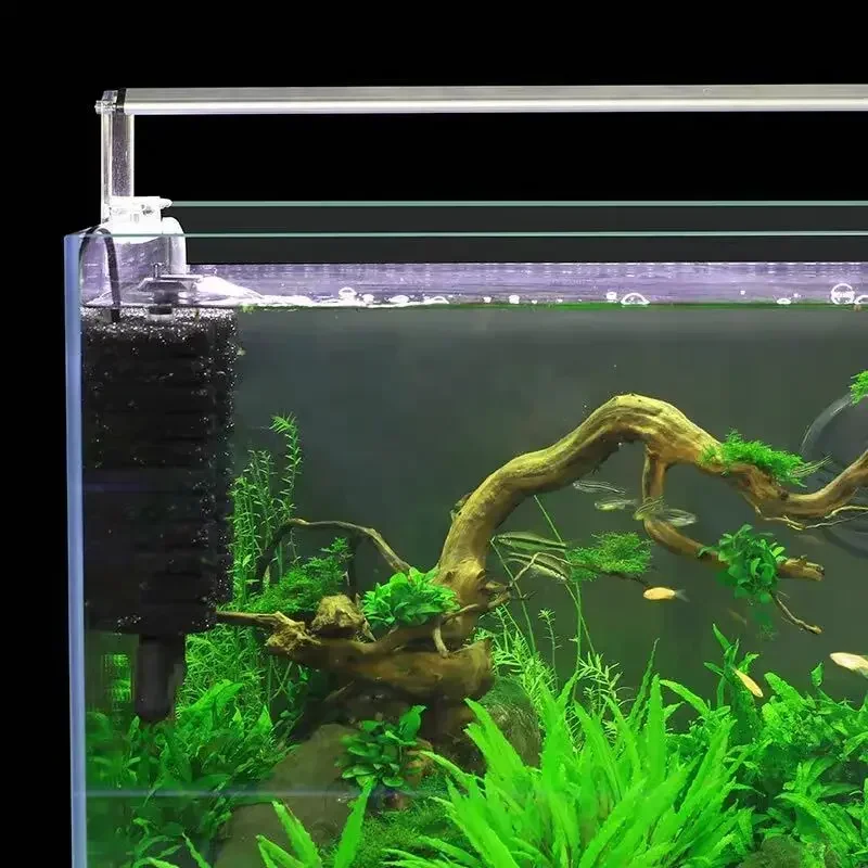 Filtre d'alimentation électriq - Aquarium Fish Ball avis et prix