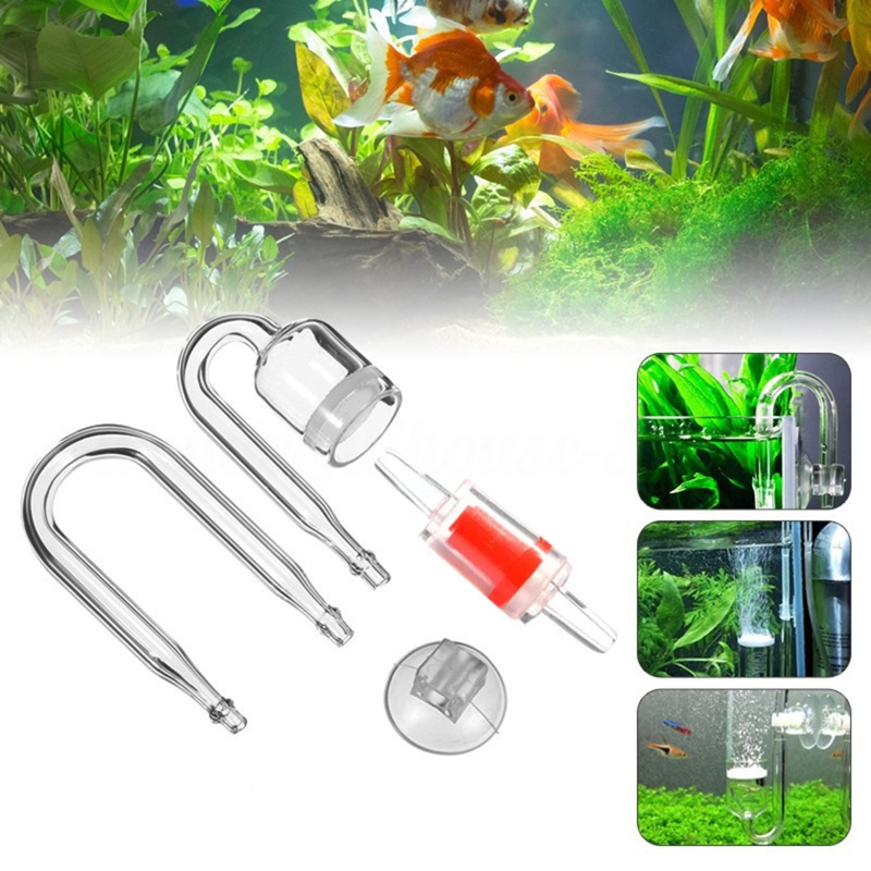 Diffuseur de CO2 pour aquarium - Aquarium Fish Types avis et prix