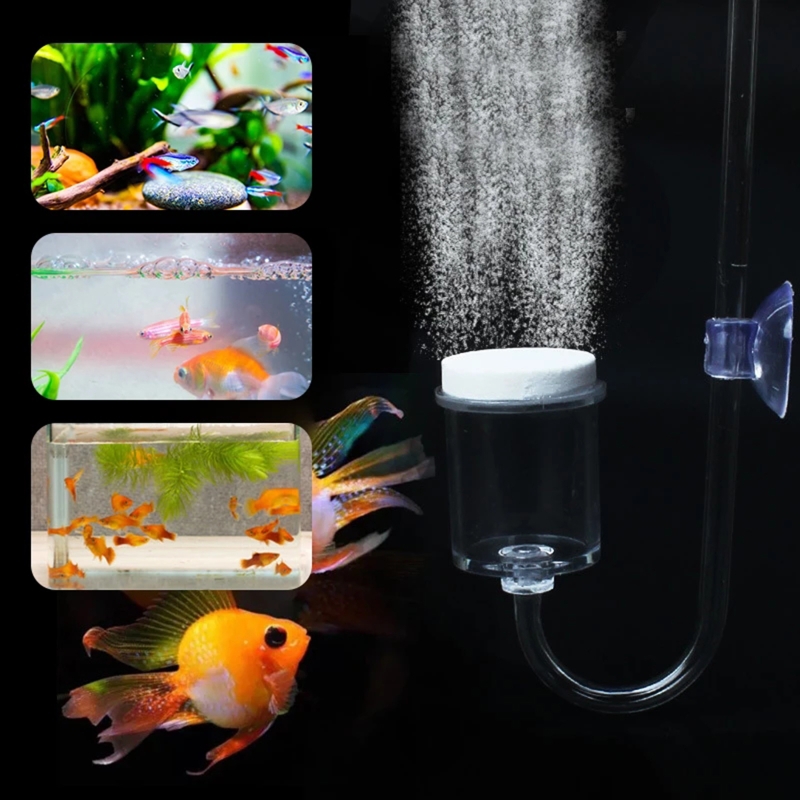 Diffuseur de CO2 pour aquarium - Aquarium Fish Types avis et prix